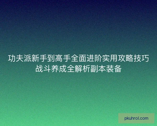 功夫派新手到高手全面进阶实用攻略技巧战斗养成全解析副本装备